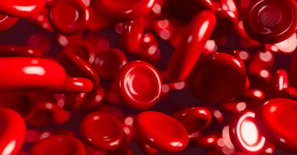 Czerwone krwinki